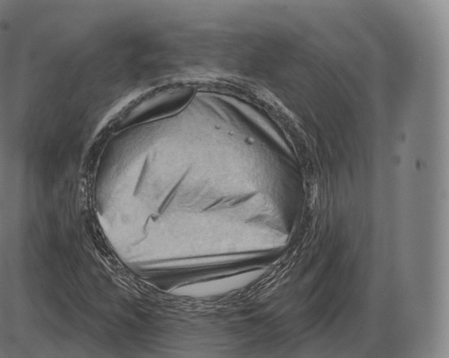 X0000083971208200703161522