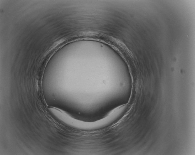 X0000083971209200703161522