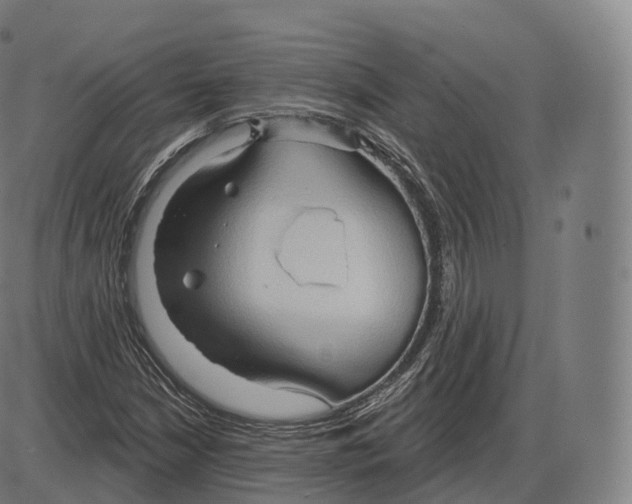 X0000083971210200703161522