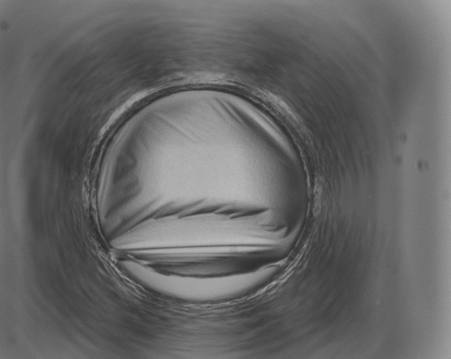 X0000083971212200703161522