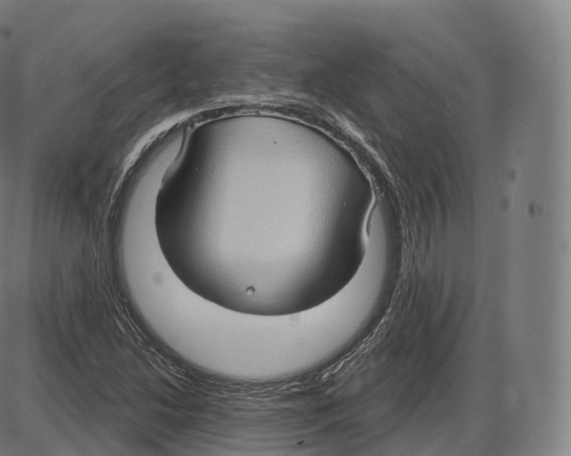 X0000083971214200703161522