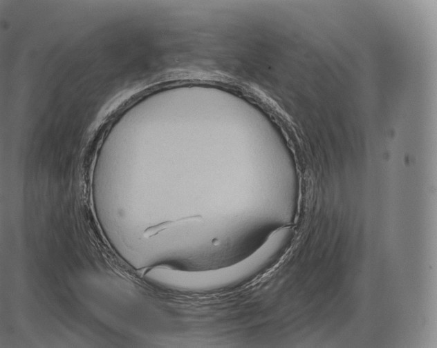 X0000083971215200703161522