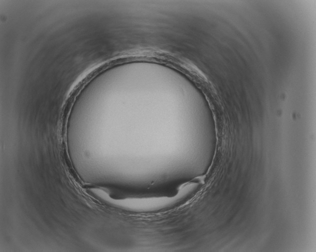 X0000083971216200703161523