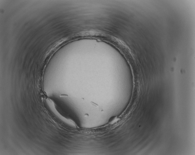 X0000083971217200703161523