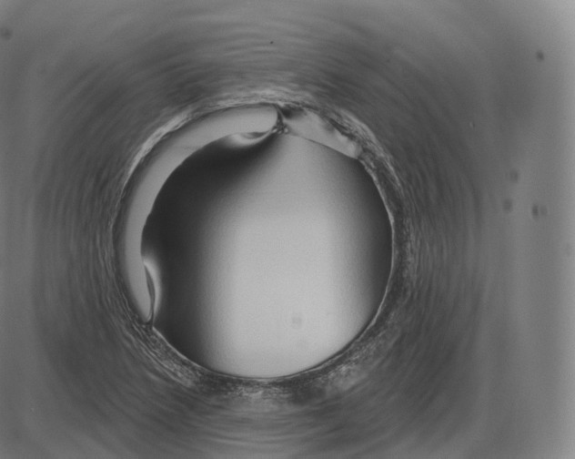 X0000083971218200703161523