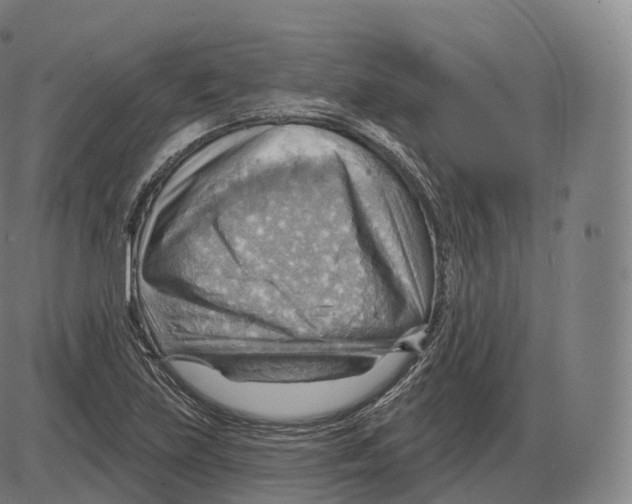 X0000083971219200703161523