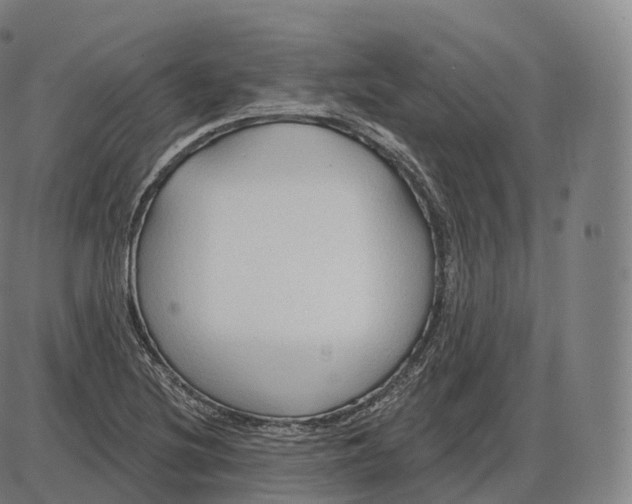 X0000083971220200703161523