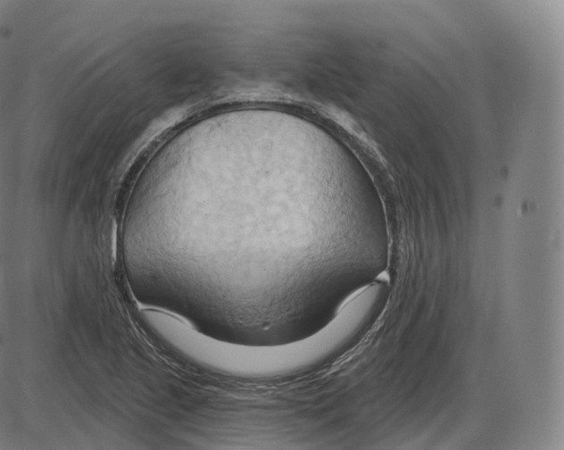 X0000083971221200703161523