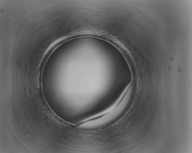 X0000083971222200703161523