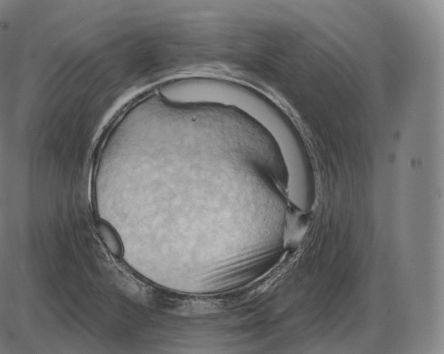 X0000083971224200703161523