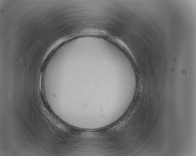 X0000083971227200703161523