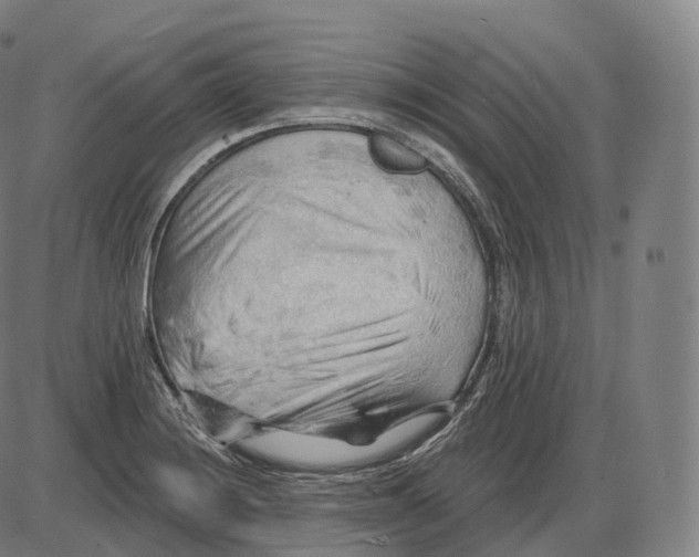 X0000083971228200703161523