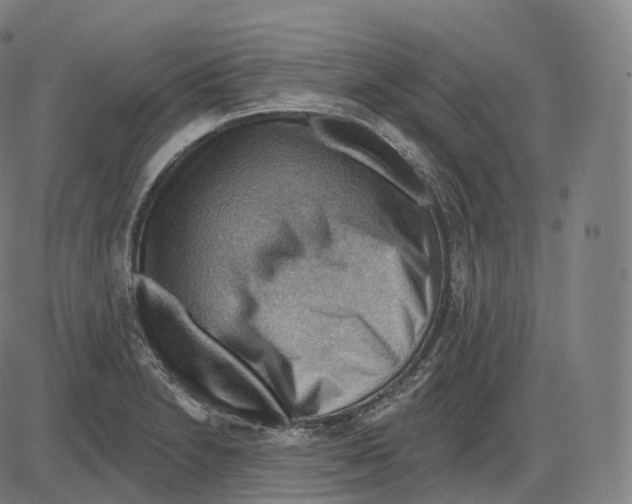 X0000083971230200703161523