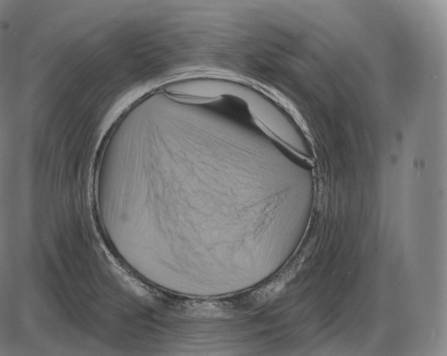 X0000083971231200703161523