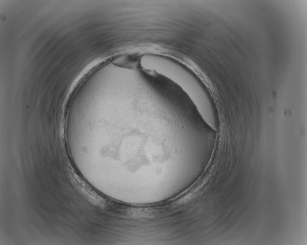 X0000083971232200703161523