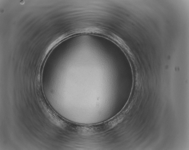 X0000083971234200703161523