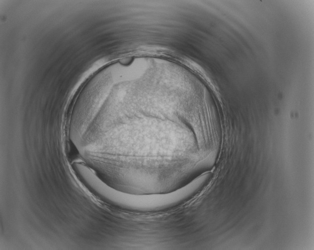 X0000083971235200703161523