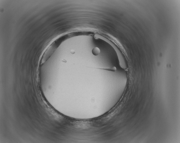 X0000083971236200703161523