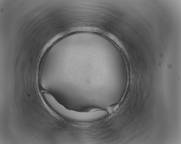 X0000083971237200703161523