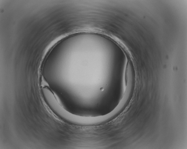 X0000083971238200703161523