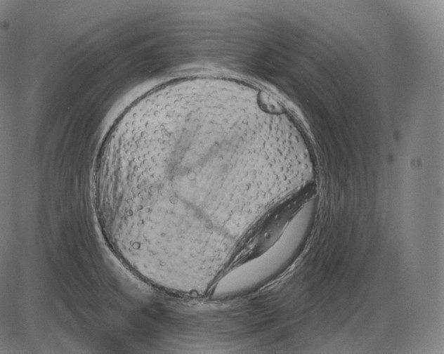 X0000083971239200703161523