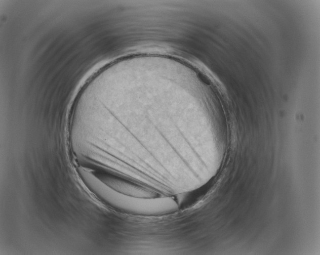 X0000083971240200703161523