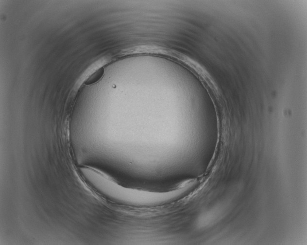 X0000083971241200703161523