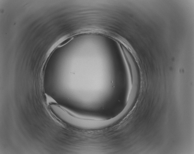 X0000083971242200703161523