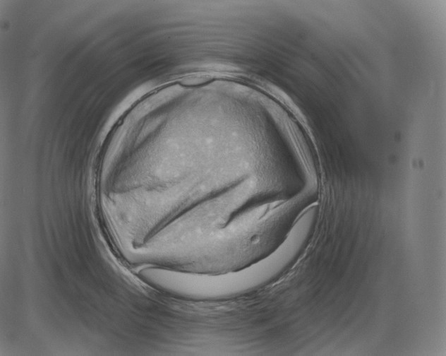 X0000083971243200703161523