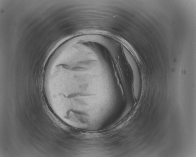 X0000083971244200703161523