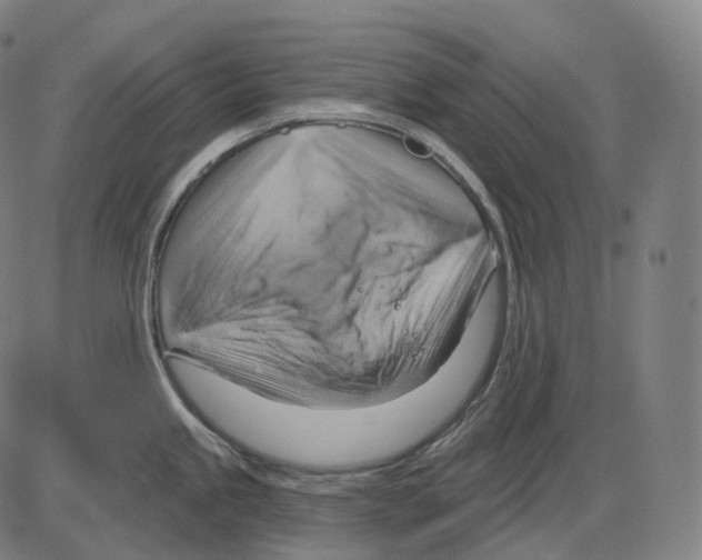 X0000083971245200703161523