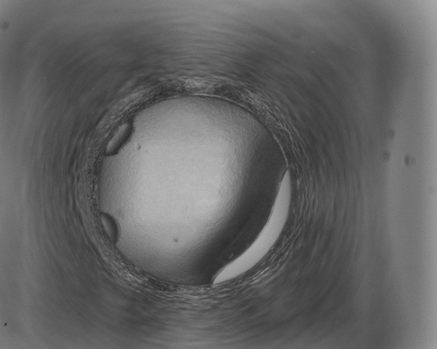 X0000083971249200703161522