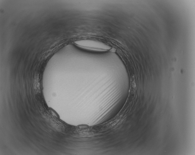 X0000083971252200703161522