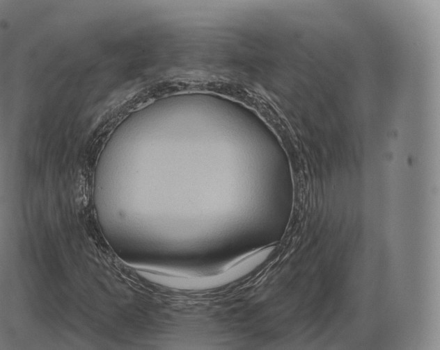 X0000083971253200703161522