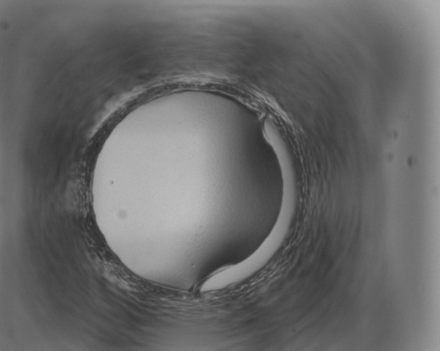 X0000083971256200703161522