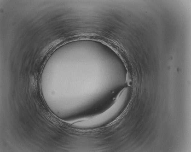 X0000083971257200703161522