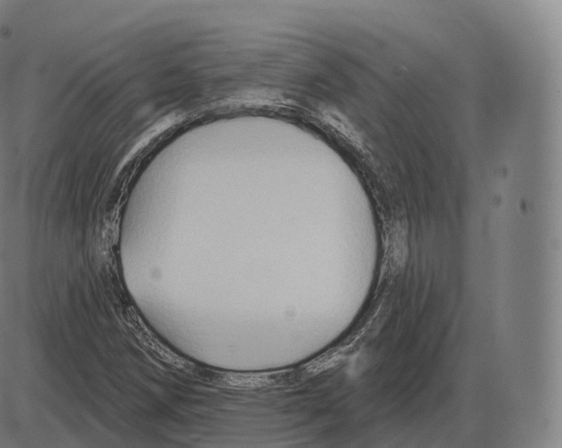 X0000083971258200703161522