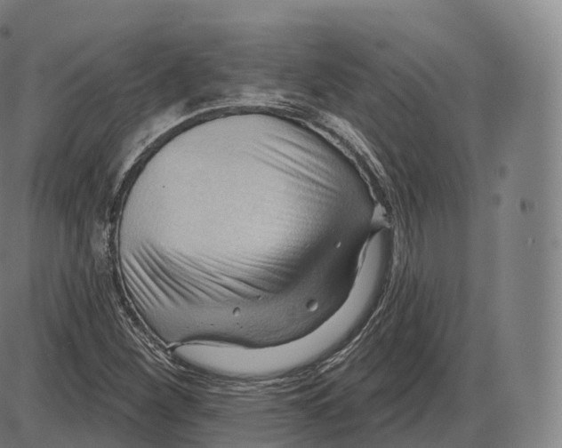 X0000083971260200703161522