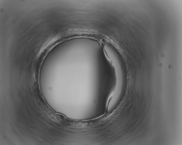 X0000083971261200703161522