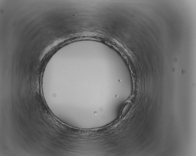 X0000083971262200703161522