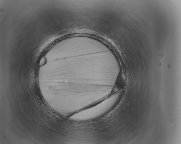 X0000083971263200703161522