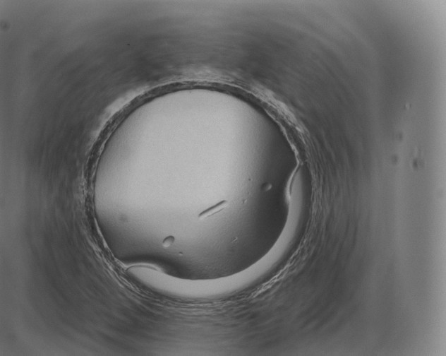 X0000083971264200703161522