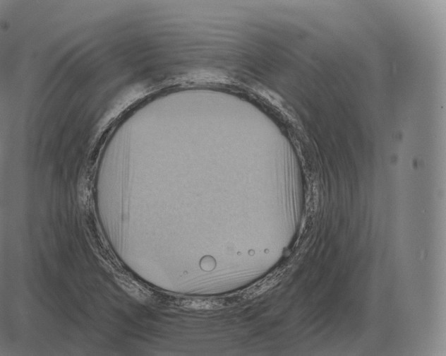 X0000083971266200703161522