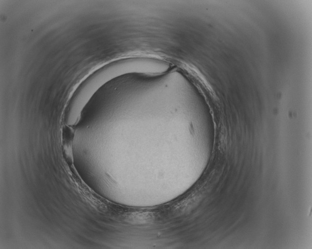 X0000083971268200703161522