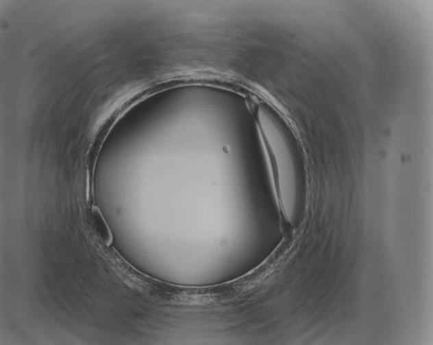 X0000083971269200703161522