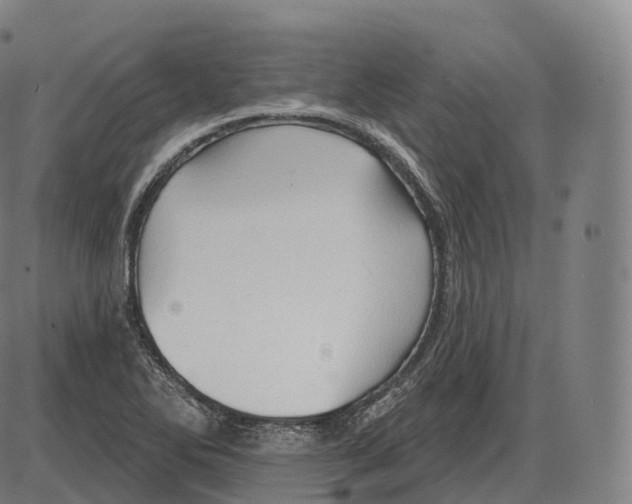 X0000083971270200703161522