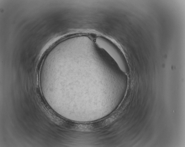 X0000083971271200703161522