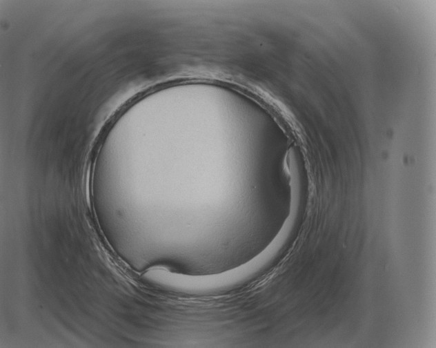 X0000083971272200703161522