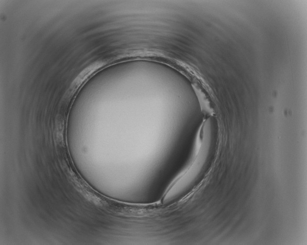 X0000083971273200703161522