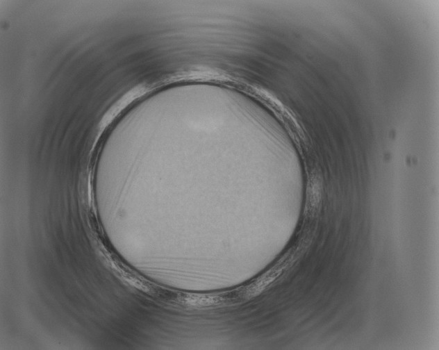 X0000083971274200703161522